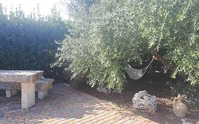 Casa Vacanze Trulli Di Rosa